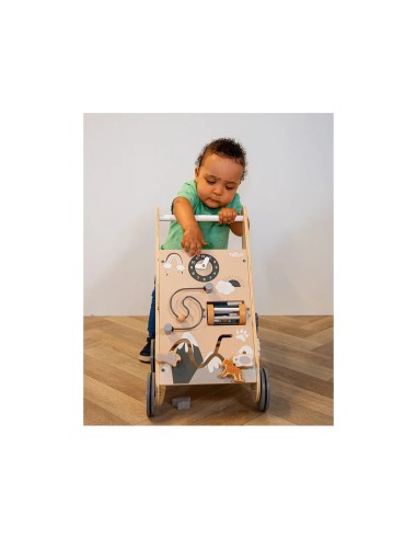 Tryco Wooden Nature Baby Activity Walker