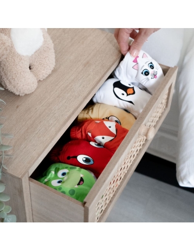 My Little Training Pants – Dinosaur – 3kom