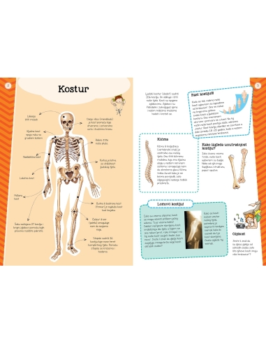 Moj atlas ljudskog tijela + poster