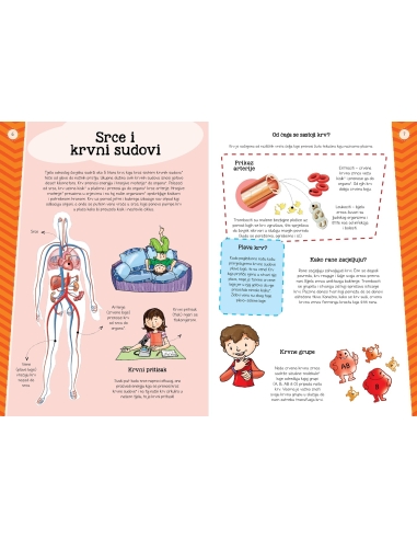 Moj atlas ljudskog tijela + poster