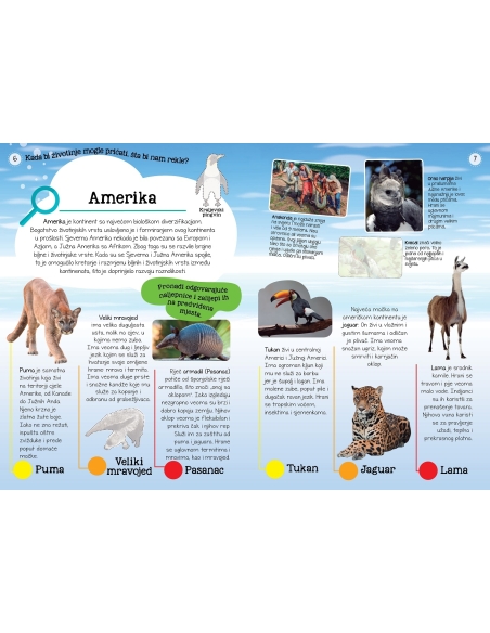 Moj atlas životinja + poster