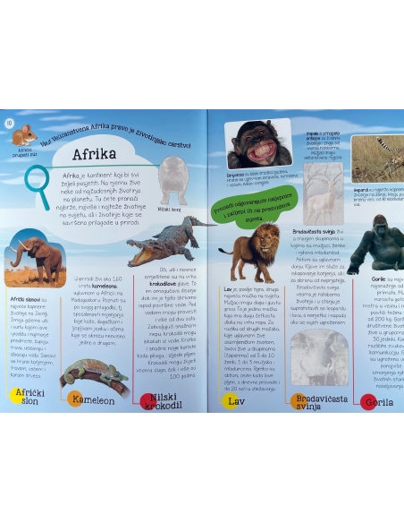 Moj atlas životinja + poster