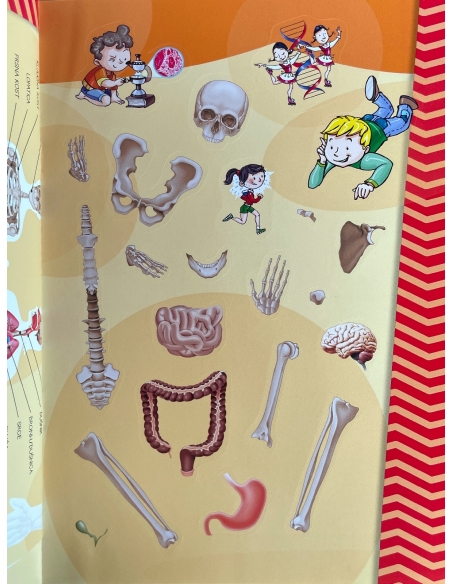 Moj atlas ljudskog tijela + poster