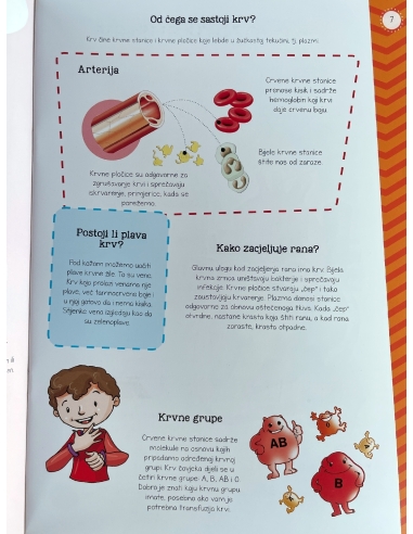 Moj atlas ljudskog tijela + poster