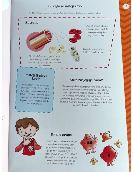 Moj atlas ljudskog tijela + poster