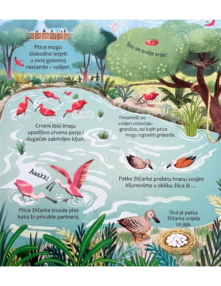 Zaviri u: Zoološki vrt - slikovnica sa prozorčićima