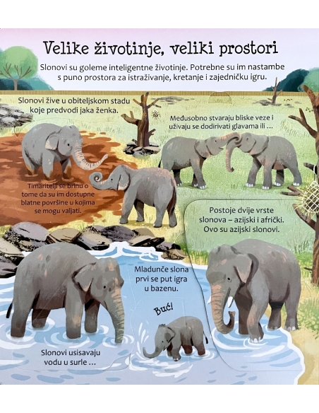 Zaviri u: Zoološki vrt - slikovnica sa prozorčićima