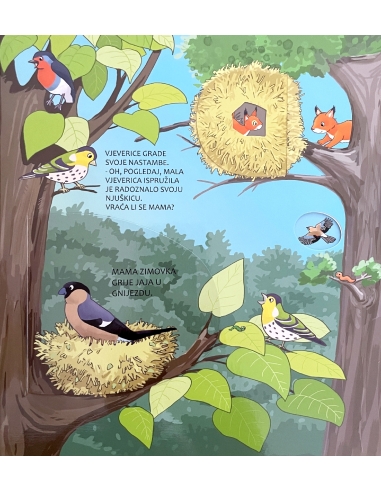 ZAVIRI I OTKRIJ! ŠUMA:SLIKOVNICA S PROZORČIĆIMA