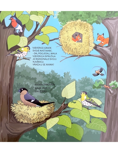 ZAVIRI I OTKRIJ! ŠUMA:SLIKOVNICA S PROZORČIĆIMA