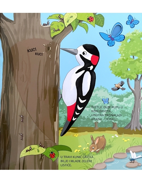 ZAVIRI I OTKRIJ! ŠUMA:SLIKOVNICA S PROZORČIĆIMA