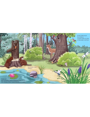 ZAVIRI I OTKRIJ! ŠUMA:SLIKOVNICA S PROZORČIĆIMA