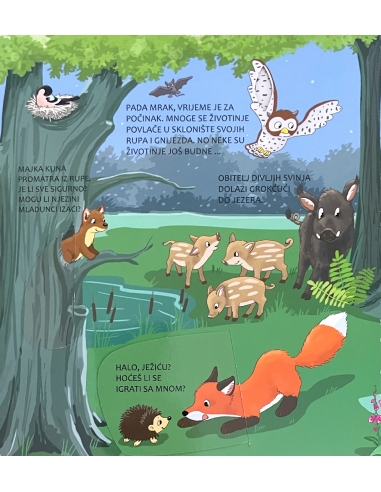 ZAVIRI I OTKRIJ! ŠUMA:SLIKOVNICA S PROZORČIĆIMA