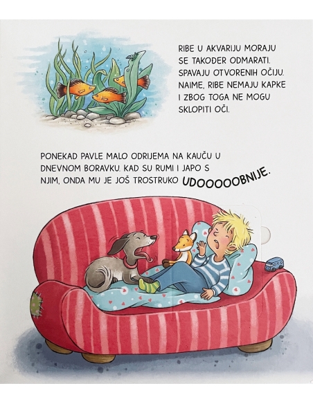 Što je što? Što se događa noću?-Slikovnica s prozorčićima