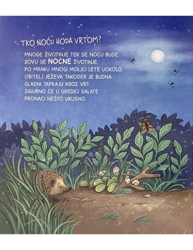 Što je što? Što se događa noću?-Slikovnica s prozorčićima