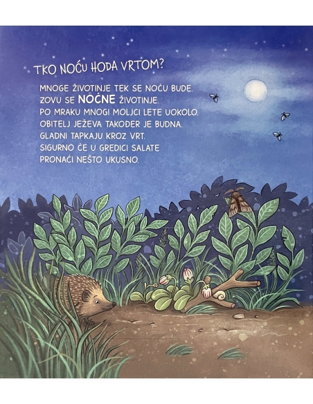 Što je što? Što se događa noću?-Slikovnica s prozorčićima