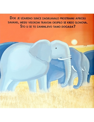 Život u obitelji slonova