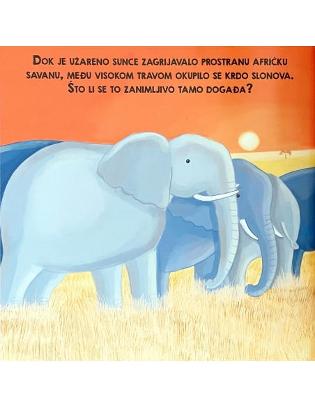 Život u obitelji slonova