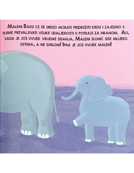 Život u obitelji slonova