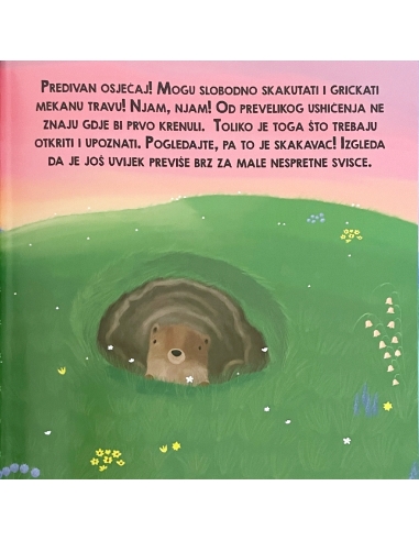 Život u obitelji svizaca