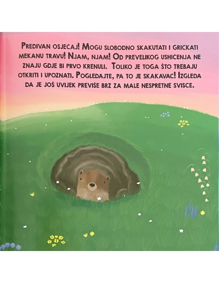 Život u obitelji svizaca