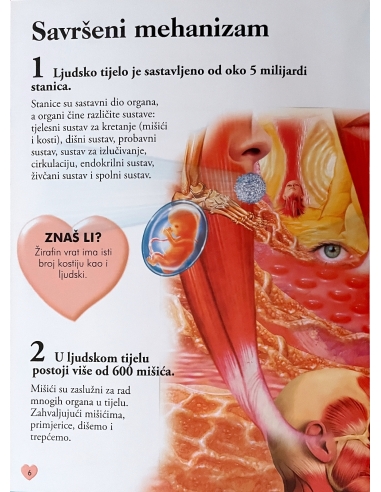 101 činjenica o ljudskom tijelu