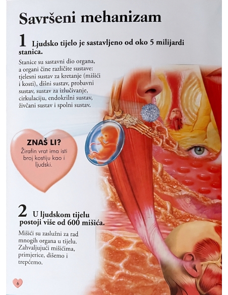 101 činjenica o ljudskom tijelu