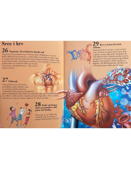 101 činjenica o ljudskom tijelu