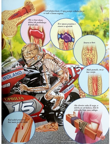 101 činjenica o ljudskom tijelu