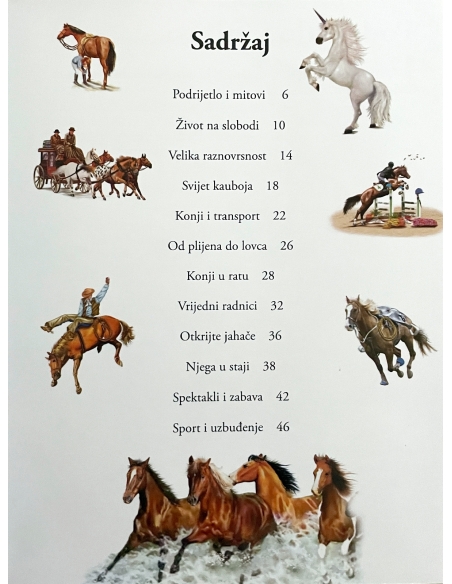 101 činjenica o konjima