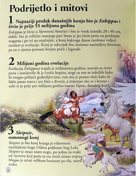 101 činjenica o konjima