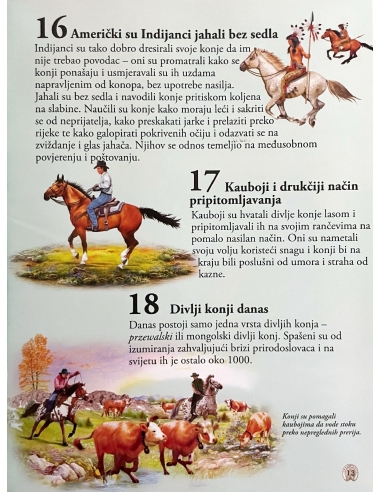 101 činjenica o konjima