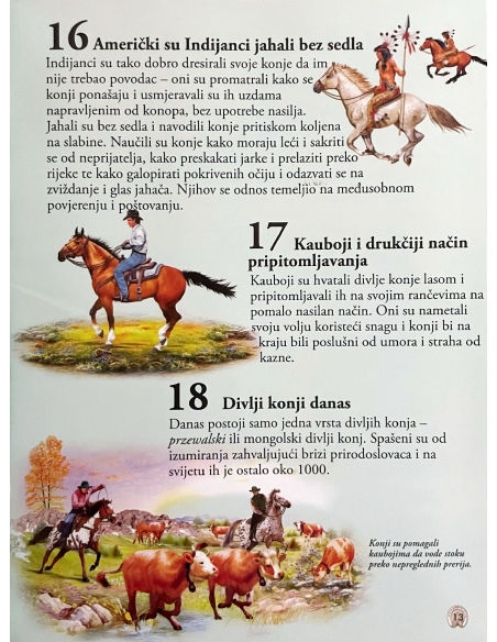 101 činjenica o konjima