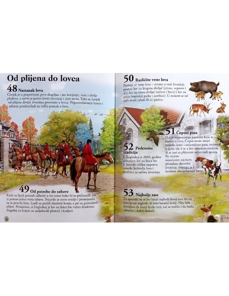 101 činjenica o konjima
