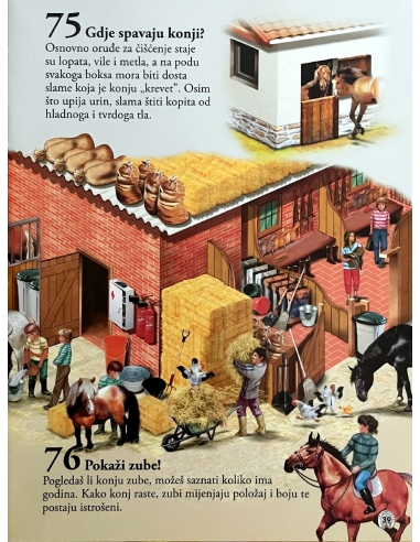 101 činjenica o konjima