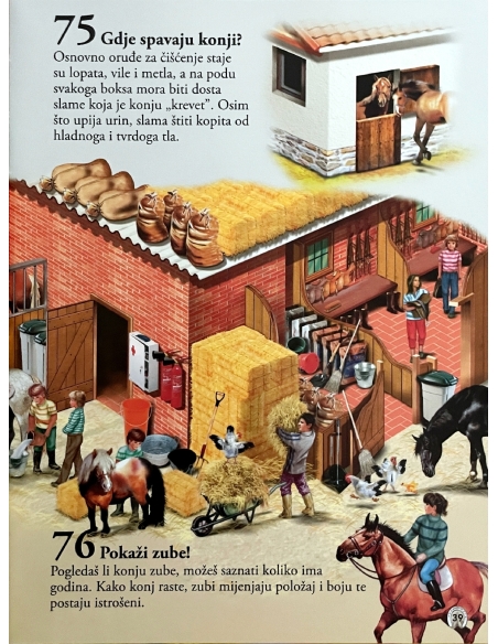 101 činjenica o konjima