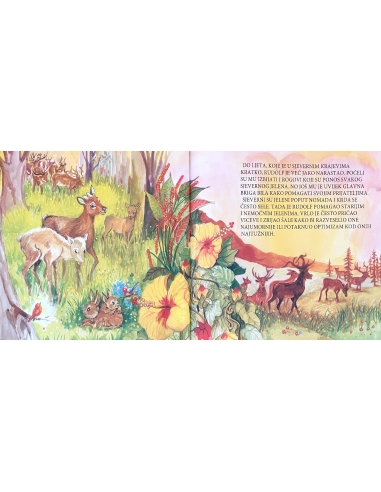 Vrline - sjeverni jelen i dobrota