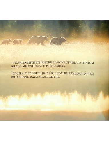 Vrline - medo i strpljivost