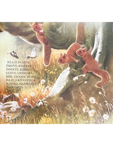 Vrline - medo i strpljivost