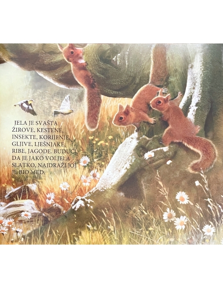 Vrline - medo i strpljivost