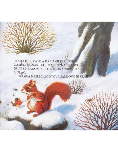 Vrline - vjeverice i optimizam