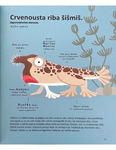 Najčudnije životinje na svijetu