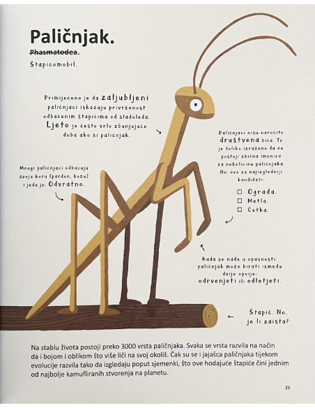 Najčudnije životinje na svijetu