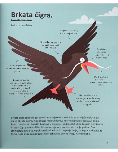 Najčudnije životinje na svijetu