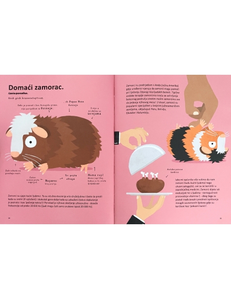 Najčudnije životinje na svijetu