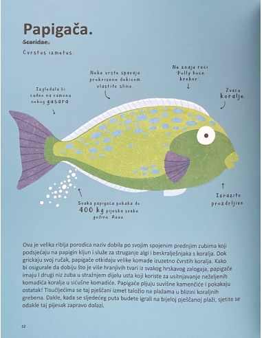 Najčudnije životinje na svijetu