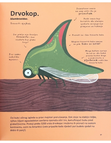 Najčudnije životinje na svijetu