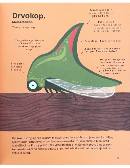 Najčudnije životinje na svijetu