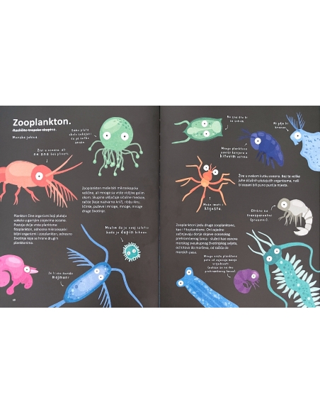 Najčudnije životinje na svijetu