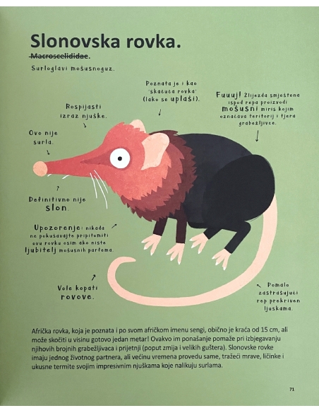 Najčudnije životinje na svijetu