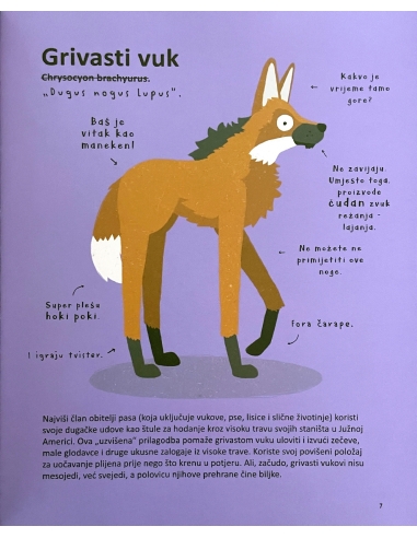 Najsmješnije životinje na svijetu